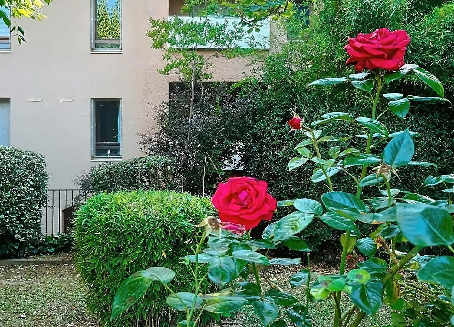 Studio Avec Terrasse Et Jardin Aix-en-Provence Daire